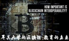 探秘土耳其大学的区块链：教育的未来与创新