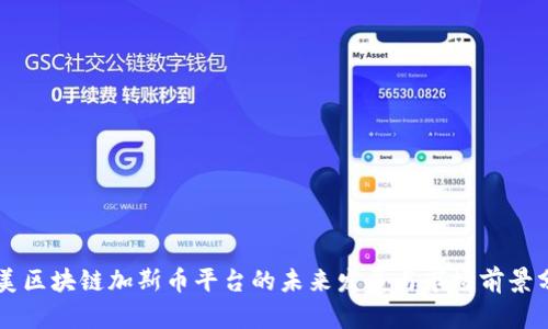 中美区块链加斯币平台的未来发展与市场前景分析