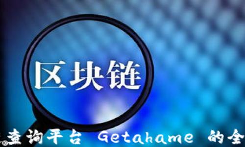 区块链查询平台 Getahame 的全面介绍