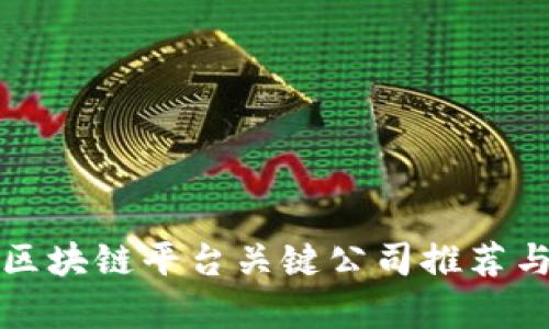 海南区块链平台关键公司推荐与分析