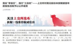 区块链监控服务平台推荐：保障安全与透明的数