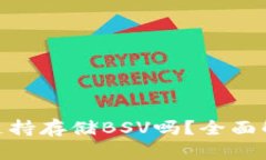 imToken钱包支持存储BSV吗？全面解析与使用指南