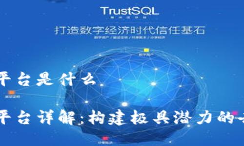 区块链项目平台是什么

区块链项目平台详解：构建极具潜力的去中心化未来