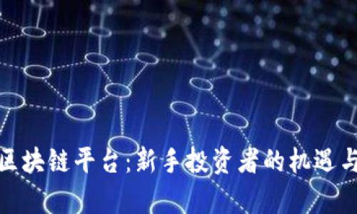 散户投资区块链平台：新手投资者的机遇与风险分析