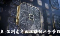  打造智能未来：深圳龙华区区块链水务管理平台