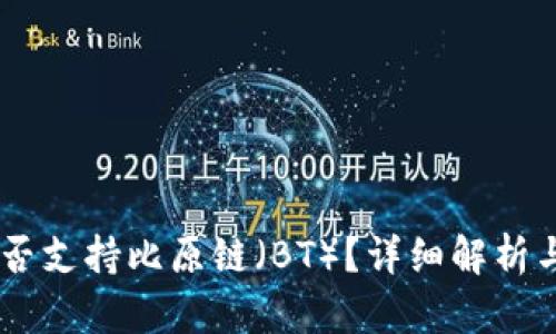 IM钱包是否支持比原链（BT）？详细解析与用户指南