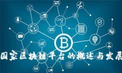 中国国家区块链平台的概述与发展现状