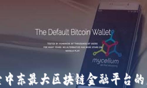 
探索中东最大区块链金融平台的未来