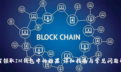 如何领取IM钱包中的糖果：详细指南与常见问题解答