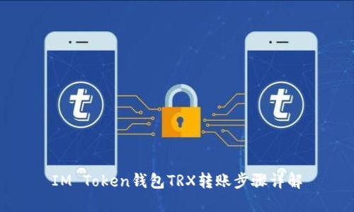 IM Token钱包TRX转账步骤详解