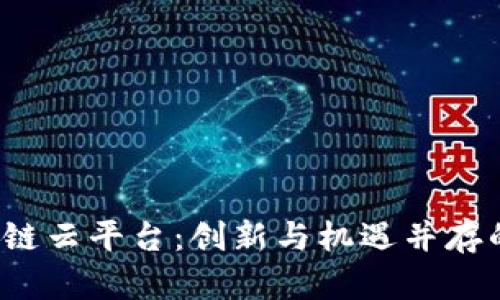  探索亚马逊区块链云平台：创新与机遇并存的数字化解决方案